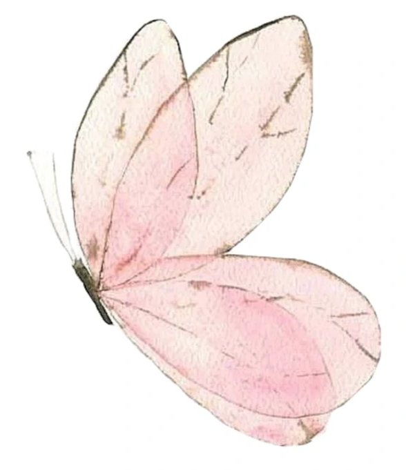 (1) (1)